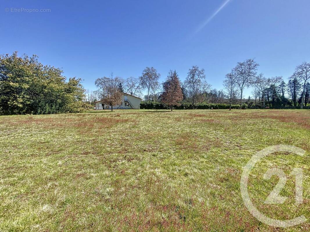 Terrain à LABASTIDE-SAINT-PIERRE