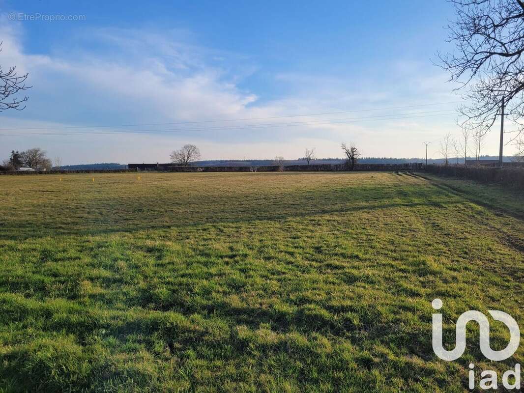 Photo 3 - Terrain à CURDIN