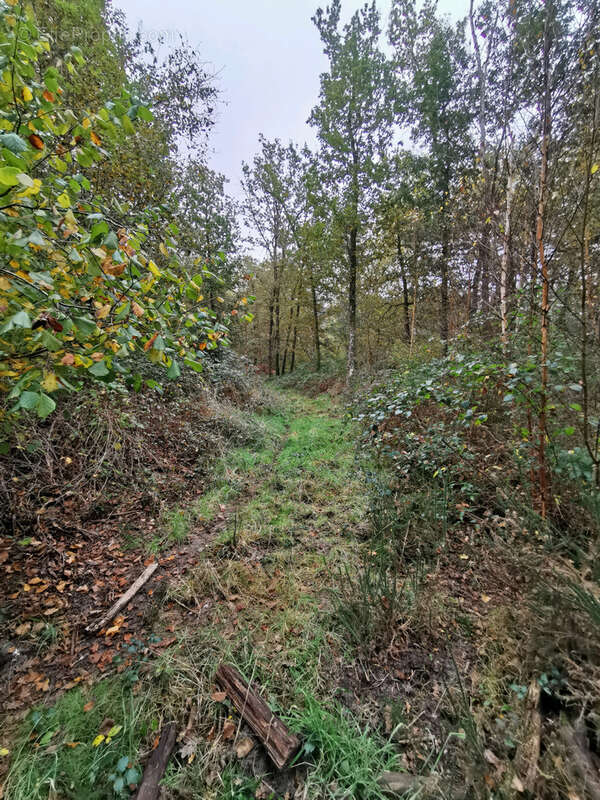 Terrain à GIEVRES
