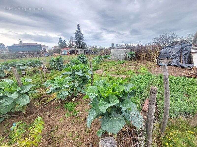Terrain à MONTROND-LES-BAINS