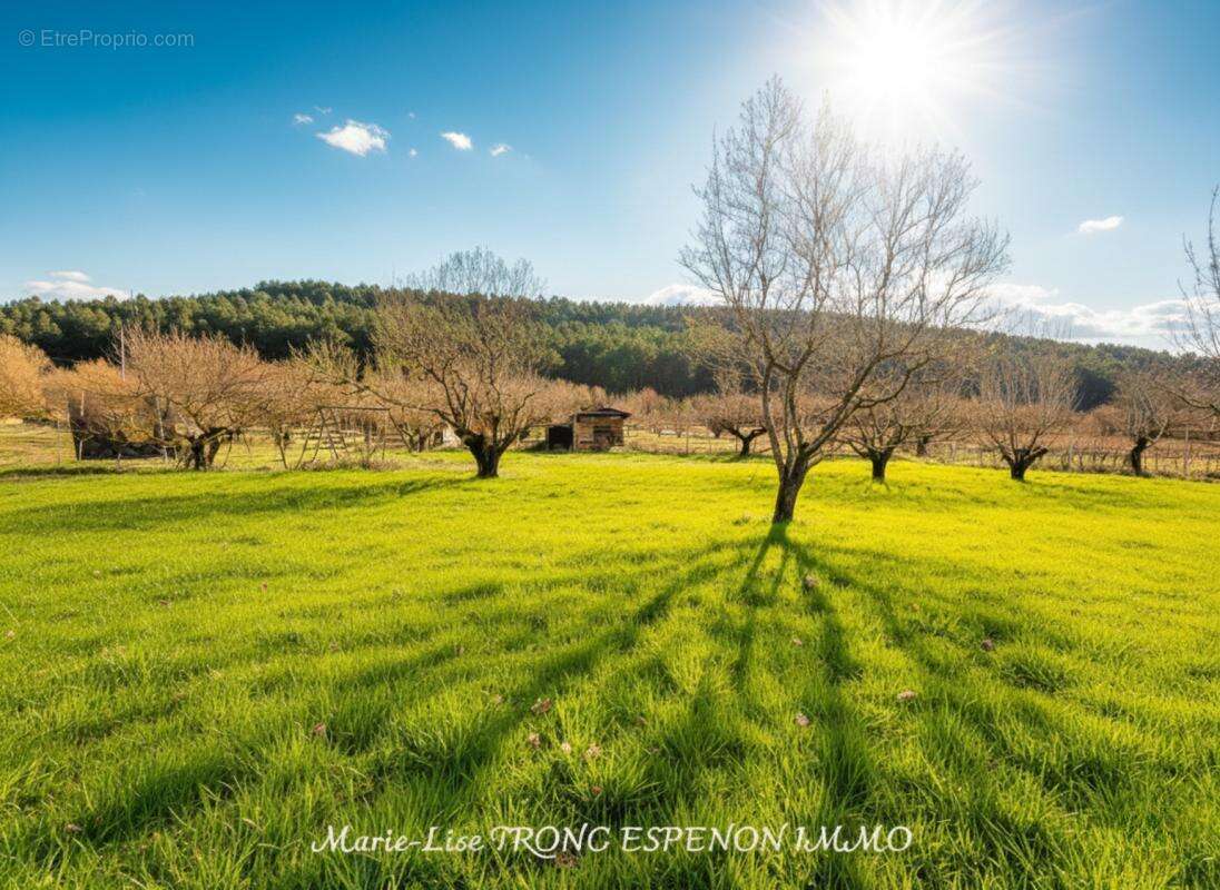 Maison à PERNES-LES-FONTAINES