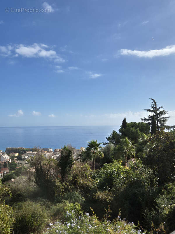 Maison à ROQUEBRUNE-CAP-MARTIN