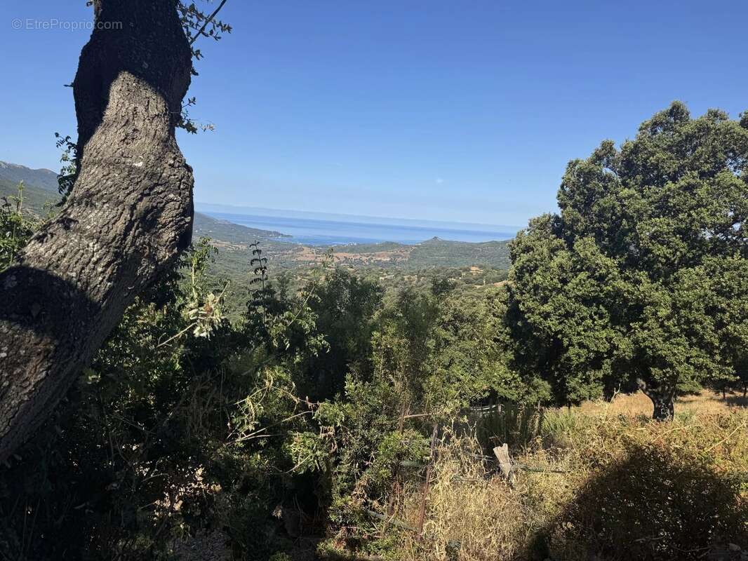 Maison à SARI-D'ORCINO