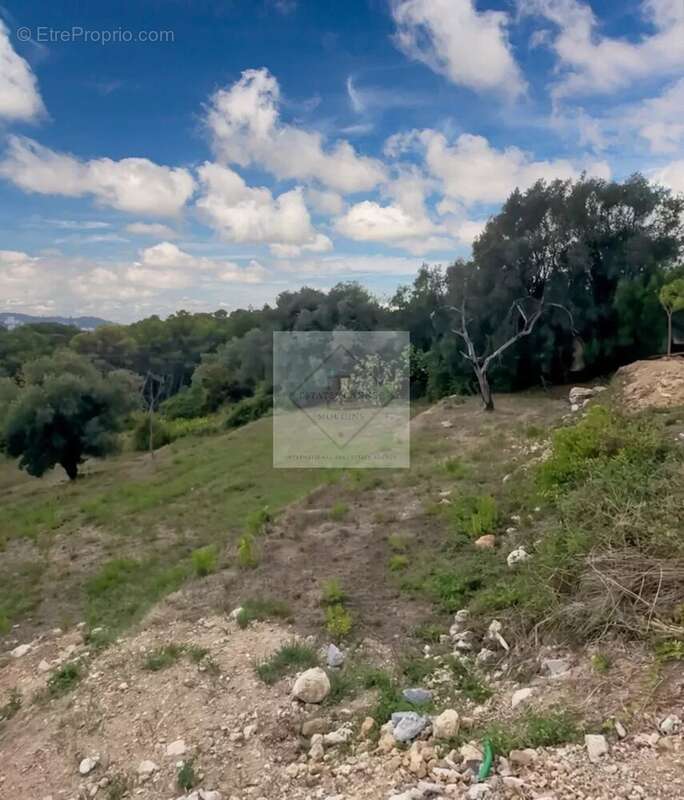 Terrain à MOUGINS