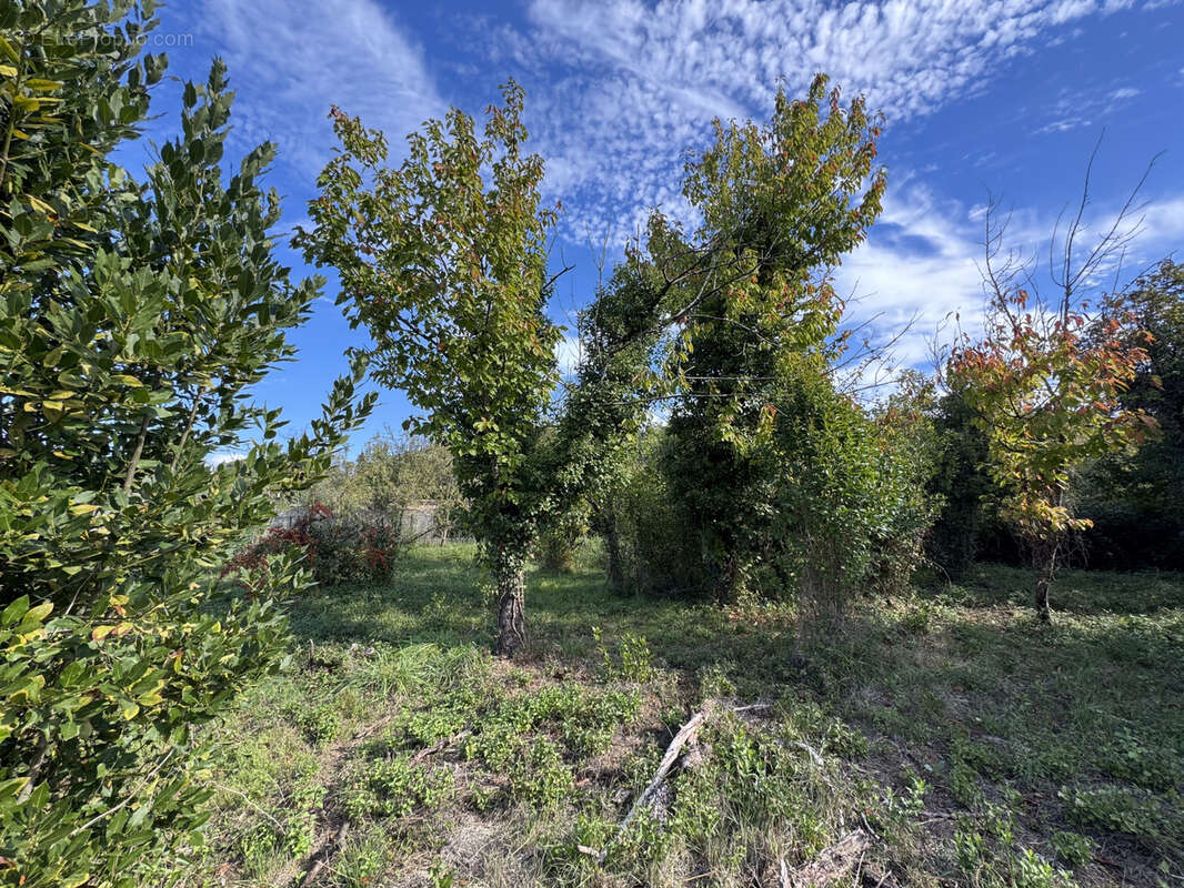 Terrain à CARNOULES