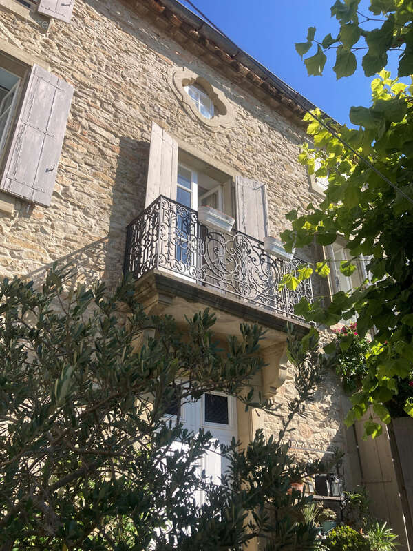 Minervois, 20mn Carcassonne Est, maison de maitre 8 chambres avec jardin et terrasse. - photo 16