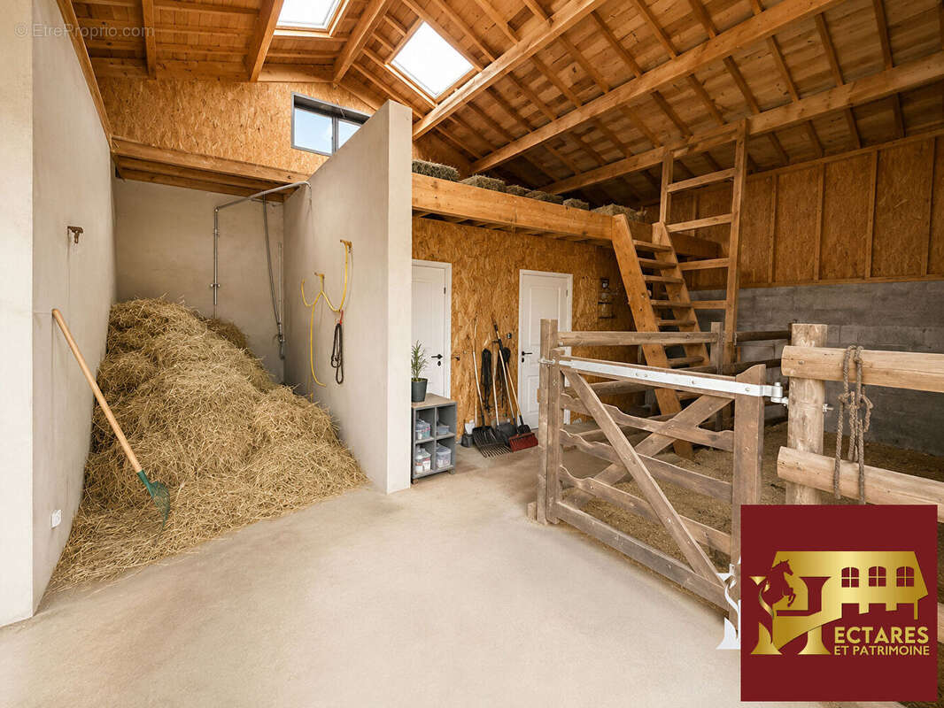Propriété équestre, 2,5 Hectares, maison récente de 165m2, logement indépendant - photo 10