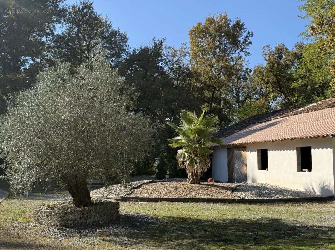Maison à BAZAS