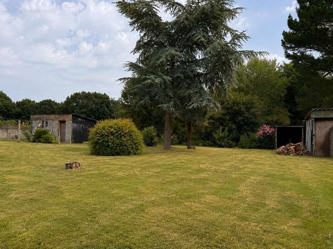 Maison 115 m² à Saint-Meloir-Des-Ondes  - photo 2