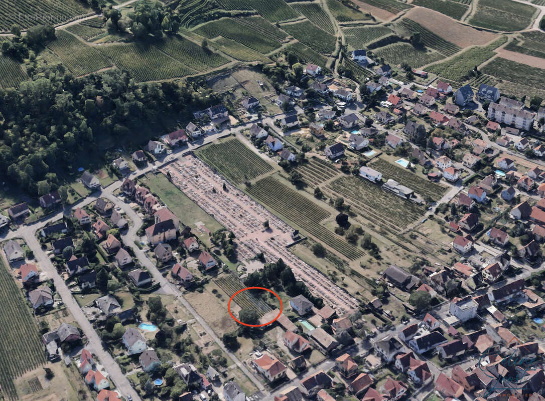 Terrain à WINTZENHEIM