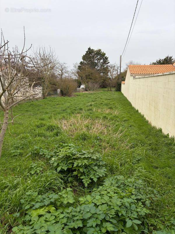 Terrain à DOMPIERRE-SUR-MER
