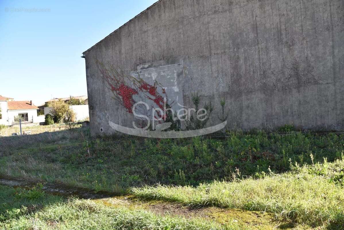 Commerce à VILLELONGUE-D&#039;AUDE