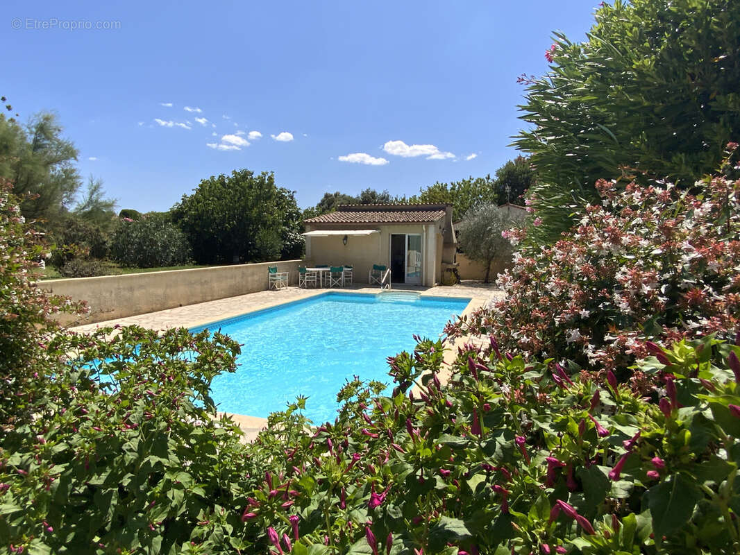 Villa de plain pied sur un terrain de 2300 m2 avec piscine. - photo 2
