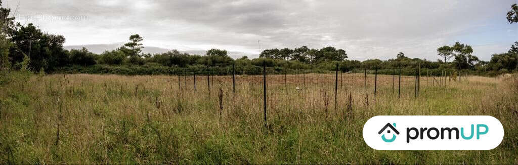 Terrain à LANDUNVEZ