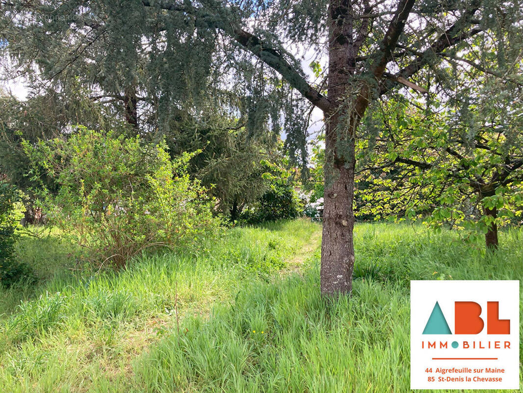 Terrain à AIGREFEUILLE-SUR-MAINE
