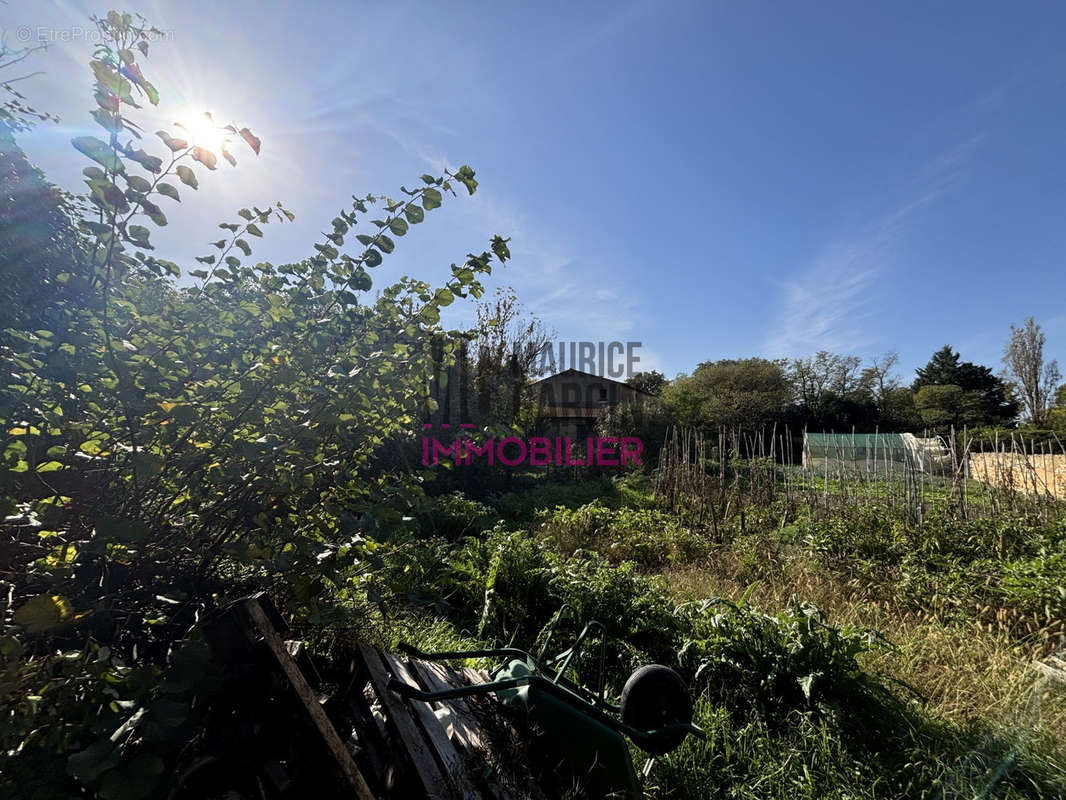 Terrain à CADEROUSSE