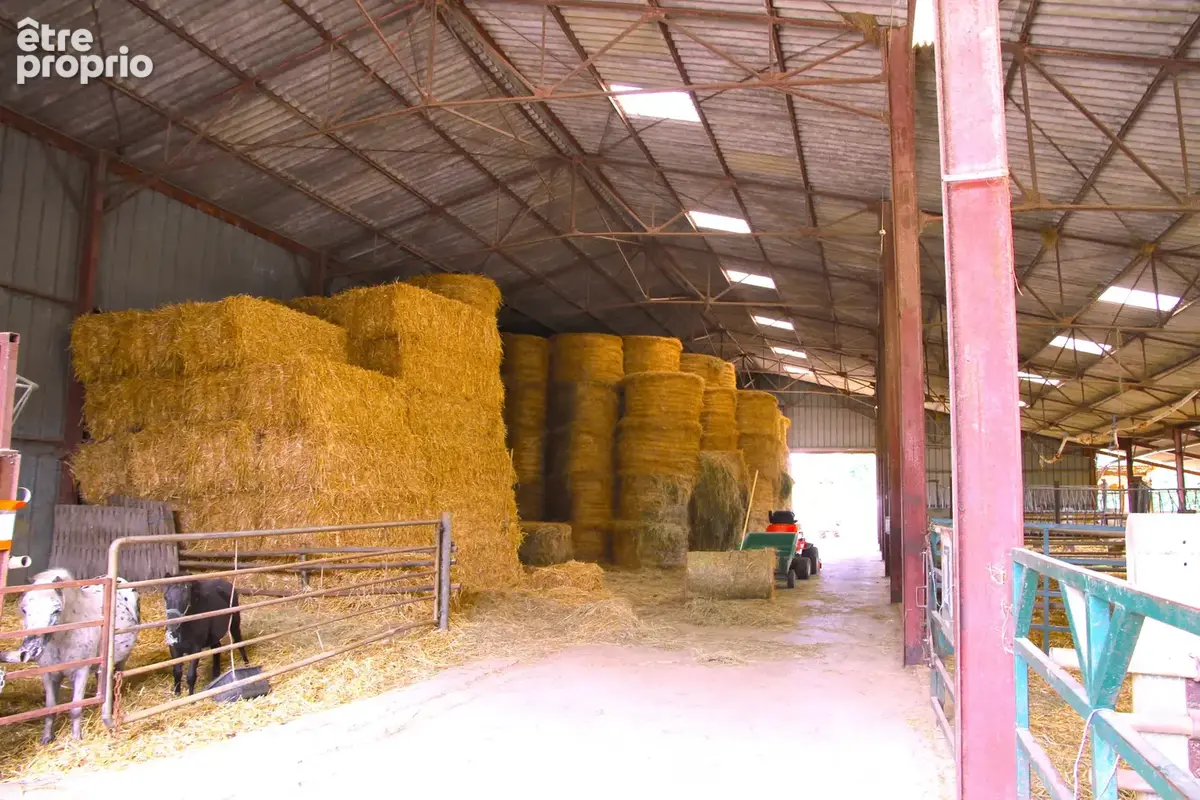 Grande propriété de caractère   Un cadre naturel d’exception en région de Chaource (10210) - photo 13