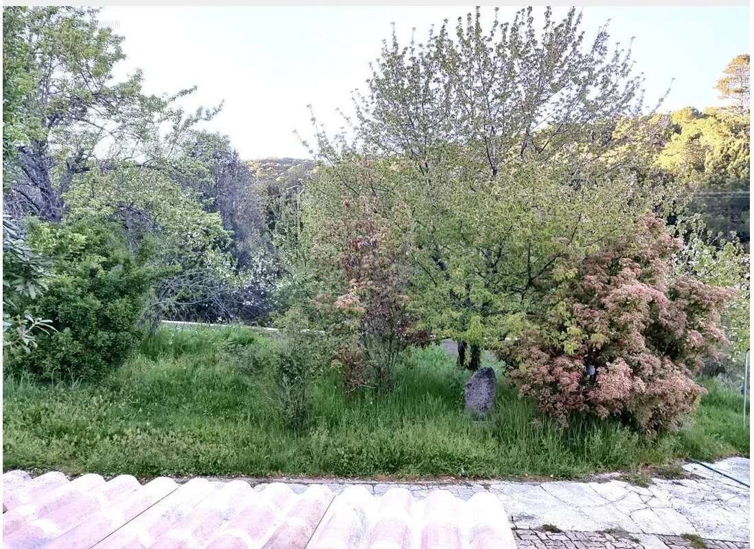 Appartement à LEVIE