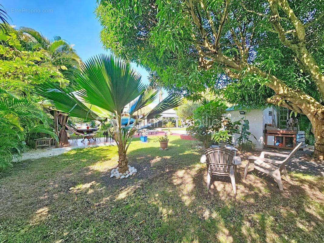 Maison à SAINT-FRANCOIS