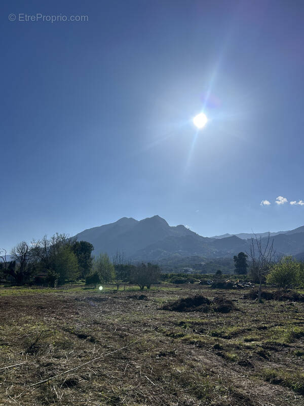 Terrain à SANTA-LUCIA-DI-MORIANI