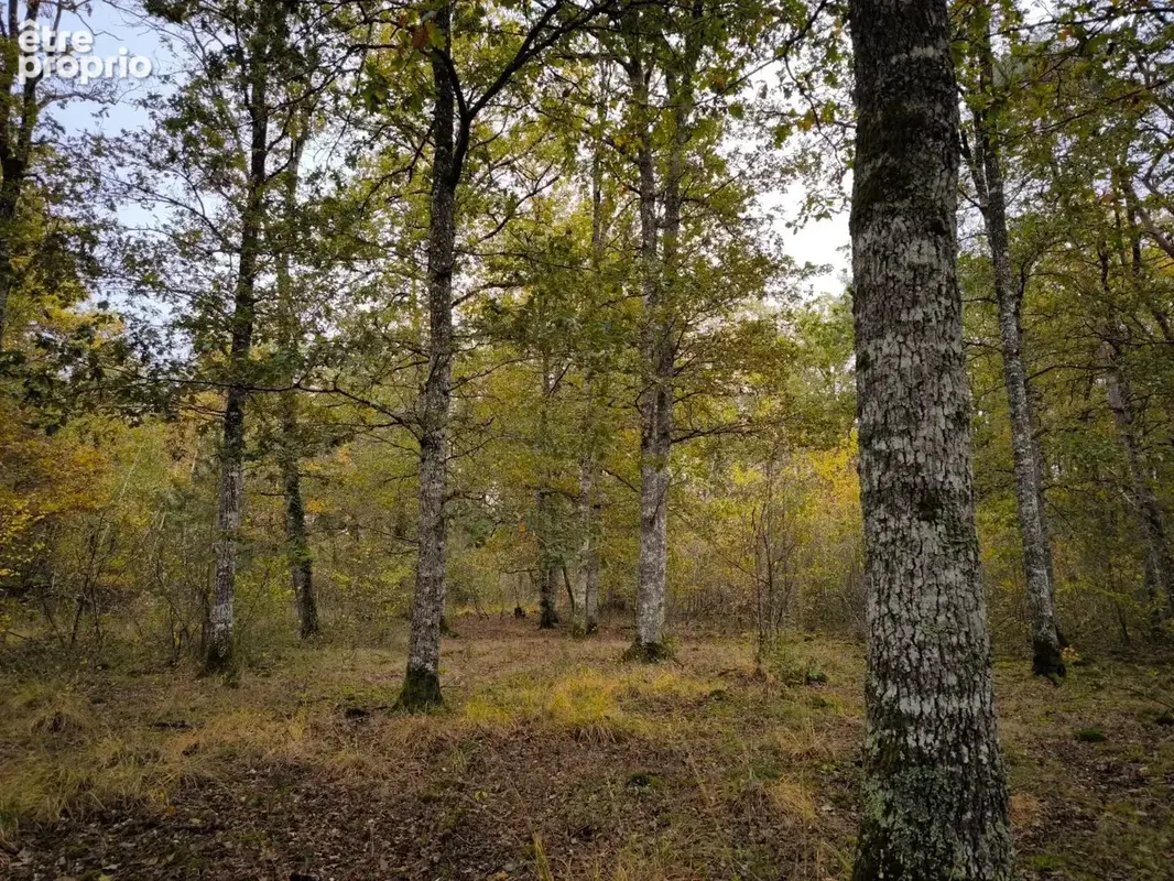 Terrain 375 800 m² à vendre à Veilleins (41230) - photo 4