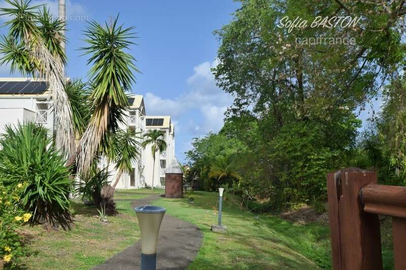 LE DIAMANT (972) - Baisse de prix Proche Plage Appartement T1 (31m2) + Terrasse - Piscine - Parc - 31 m2 + Terrasse - photo 11