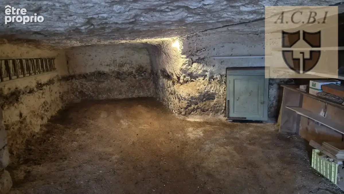 Naveil - maison avec caves troglodytiques, garage et grand terrain - photo 11