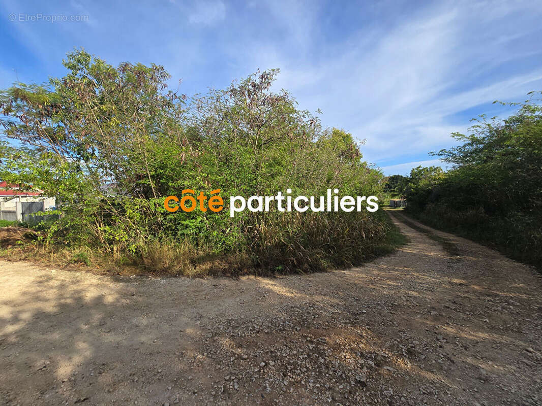 Terrain à ANSE-BERTRAND