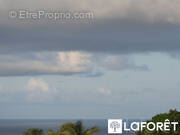 Maison à BASSE-POINTE