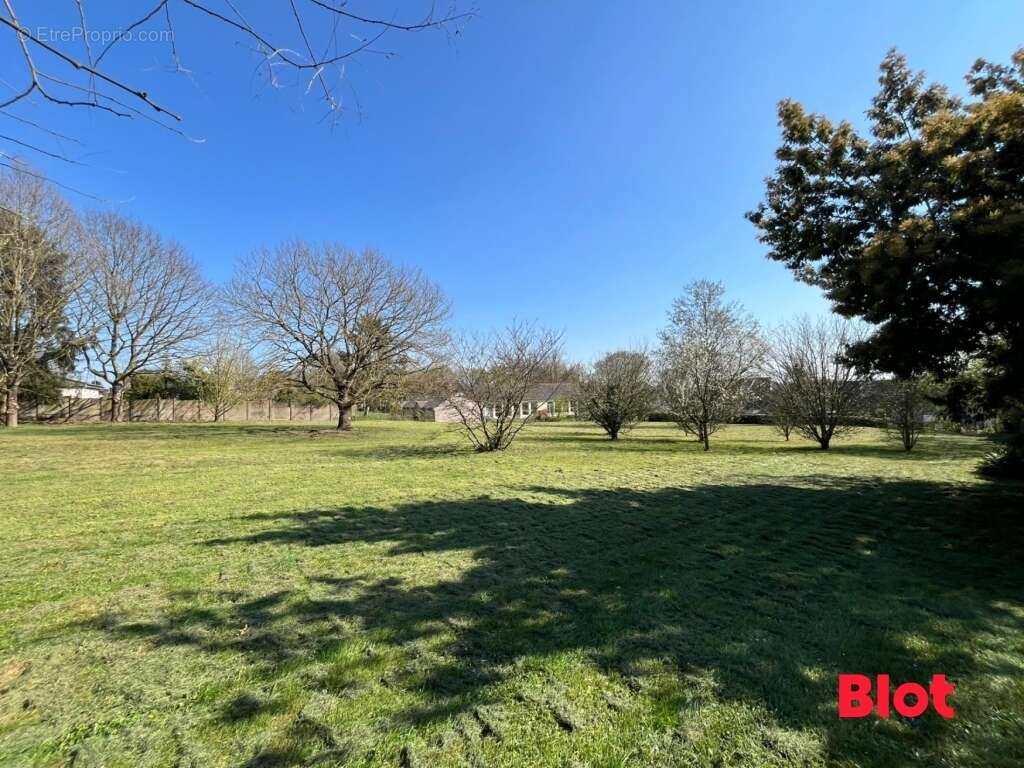 Terrain à CORPS-NUDS