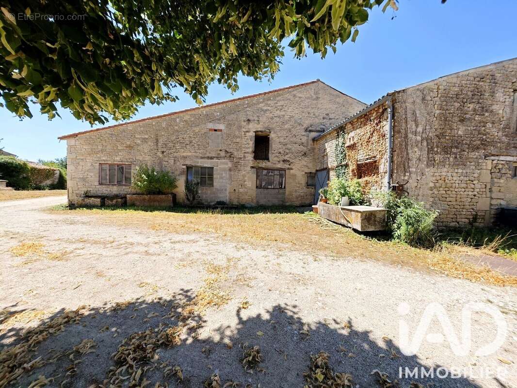 Maison 190 m² à Paille  - photo 6