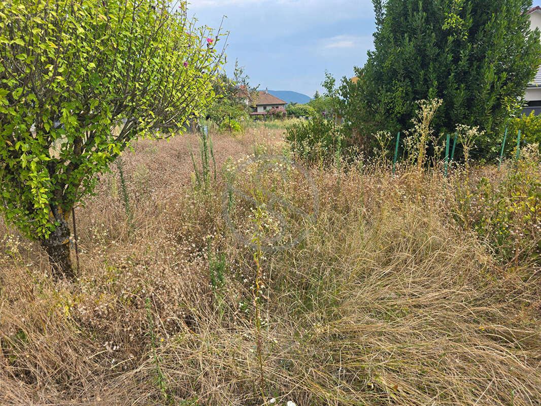 Terrain à RIVES
