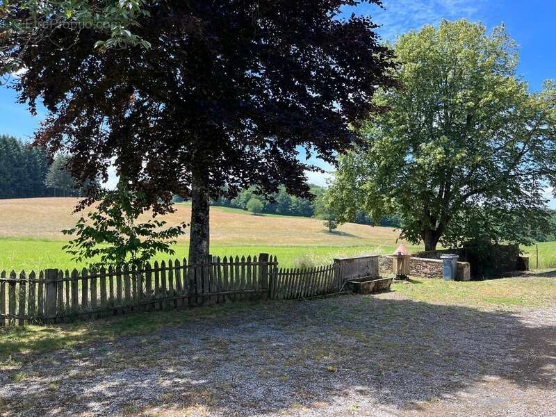 Maison ancienne avec grange et dépendances – Laroche-l’Abeille (87) - photo 4
