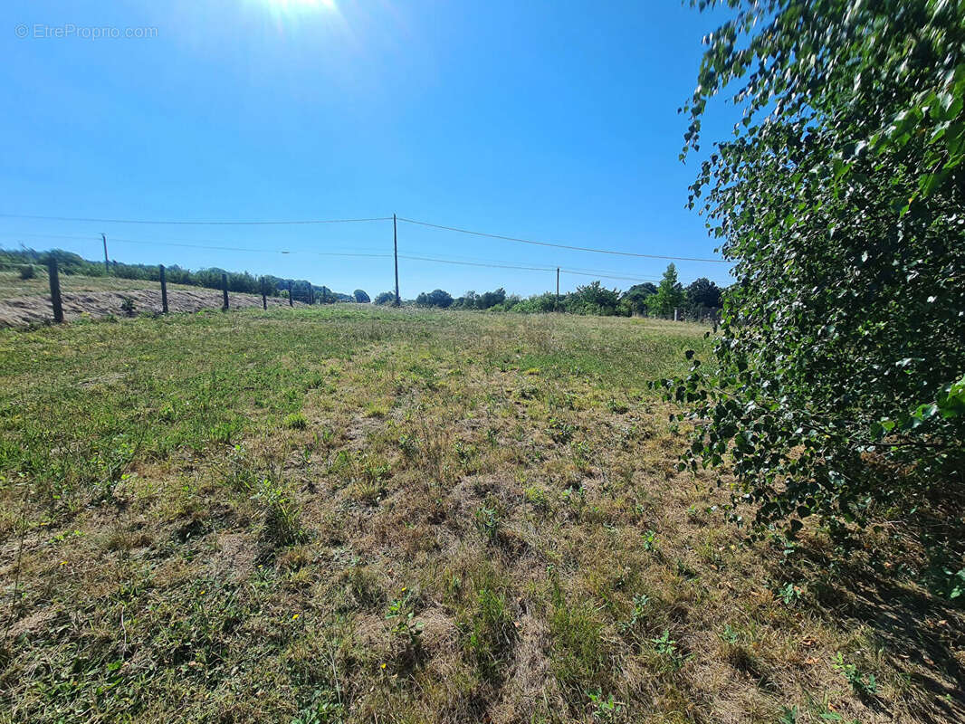 Terrain à BUSSIERE-GALANT