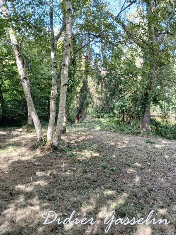 Terrain à vendre  GREEZ SUR ROC (72) - photo 8