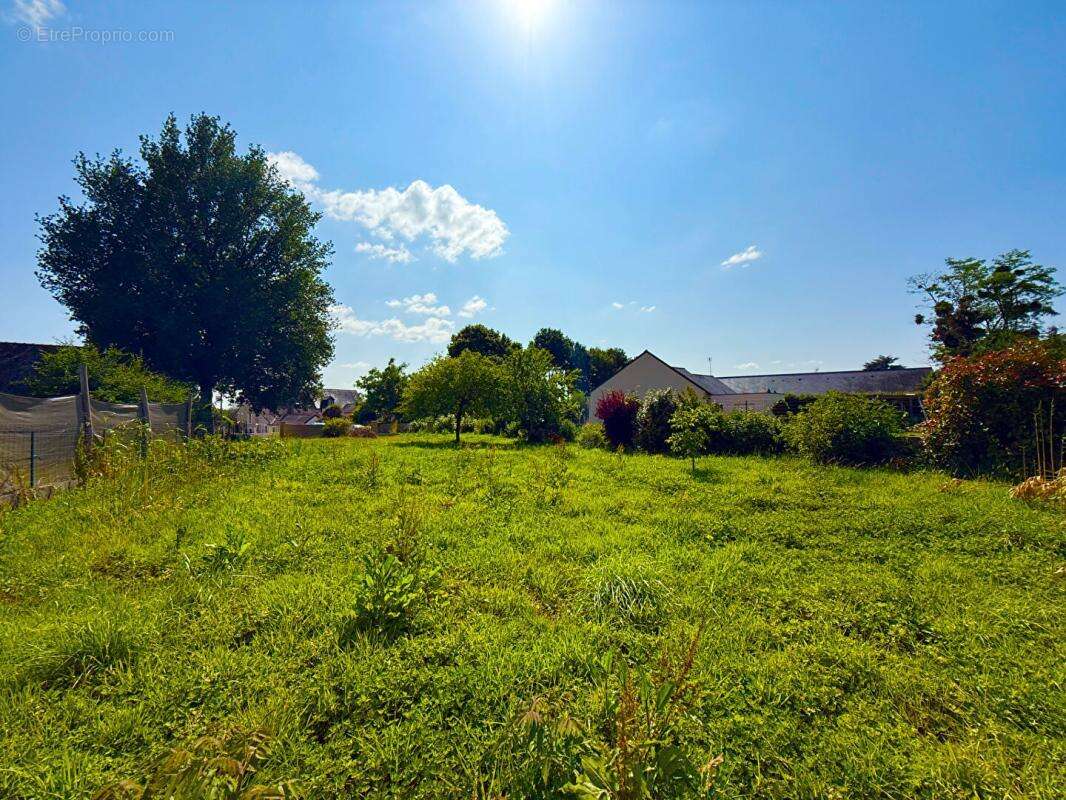 Terrain Champigne 941 m2 - photo 4