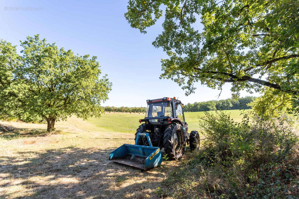 Smallholding in a beautiful location - photo 2