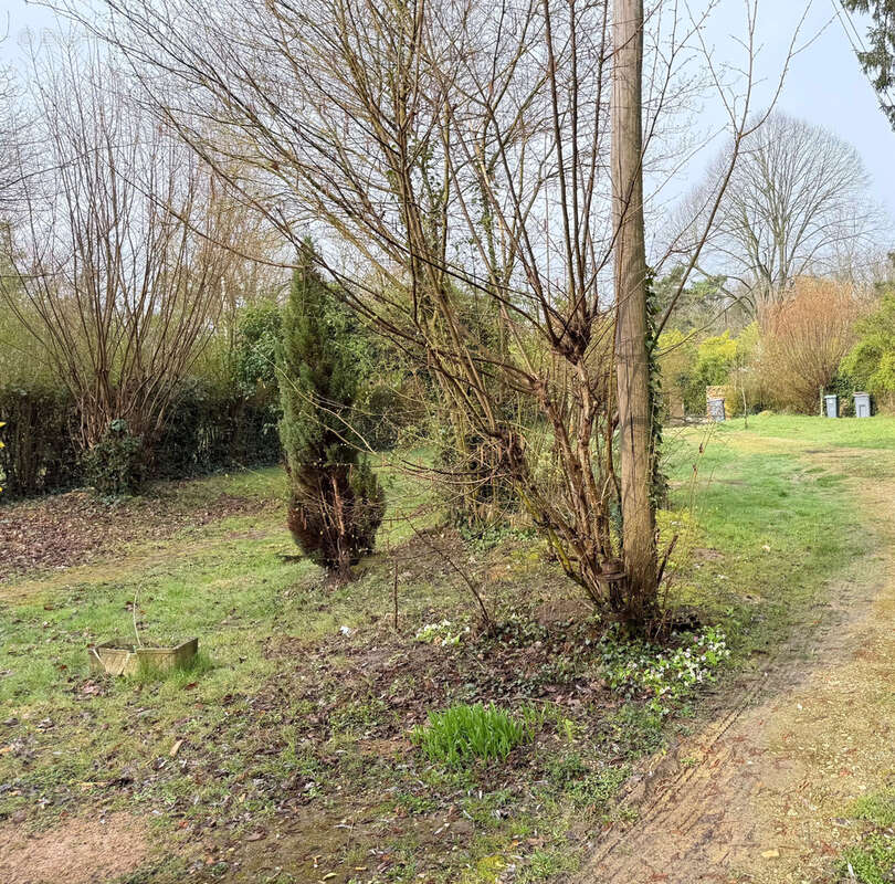Terrain à VULAINES-SUR-SEINE