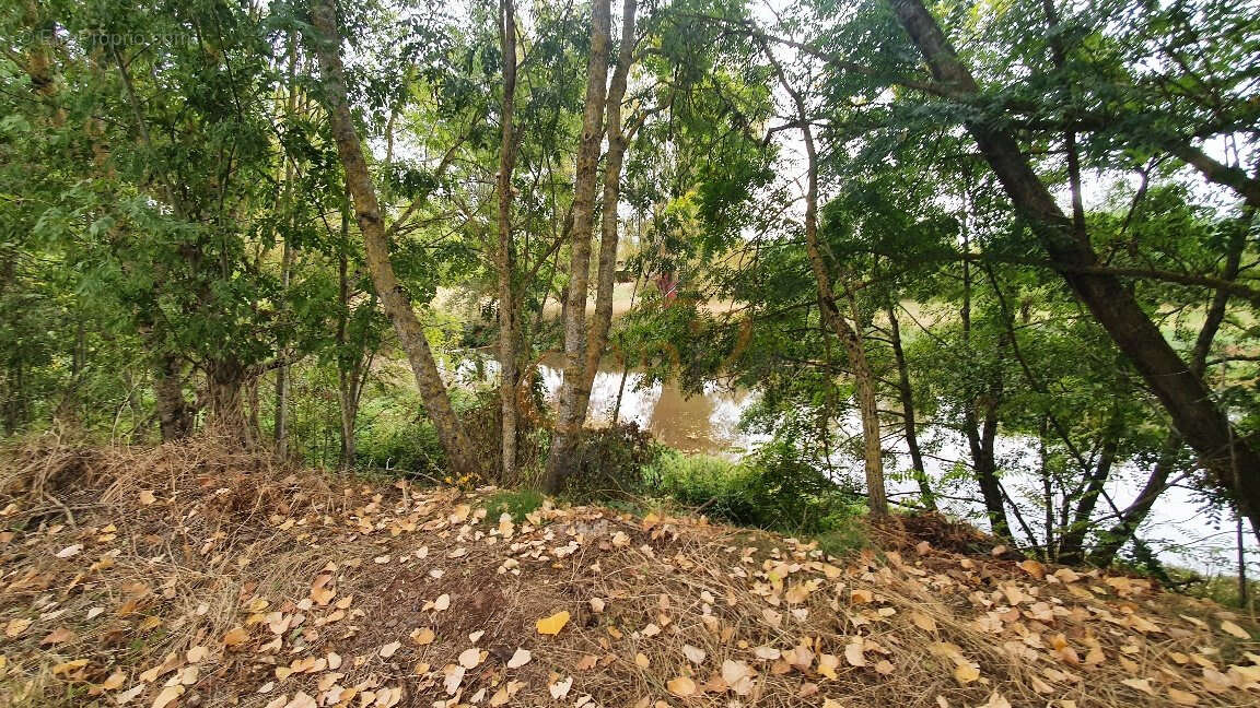 Commerce à MONTLAUR