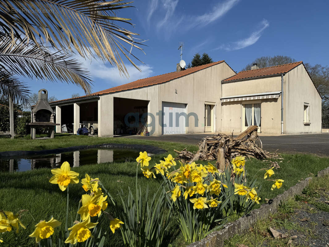 Maison à MONTAIGU