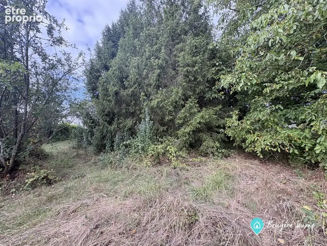 Terrain 1 068 m² à vendre à Mondrepuis (02500) - photo 4