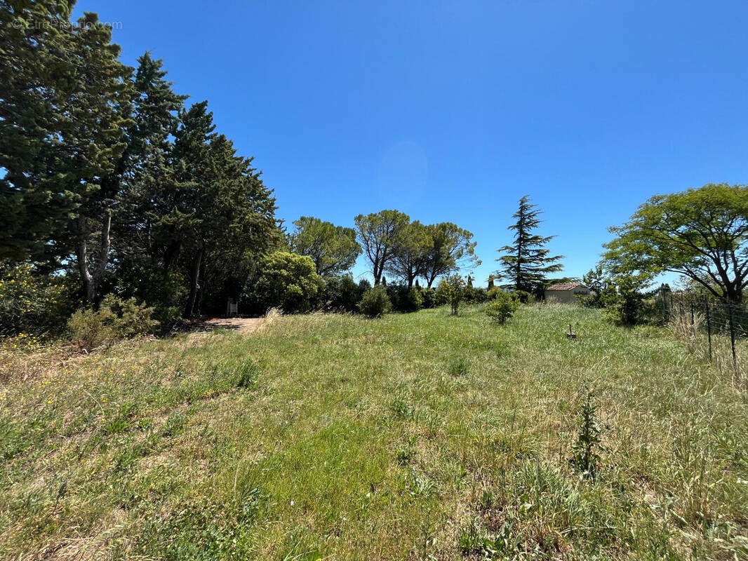 Terrain à SAINTE-CECILE-LES-VIGNES