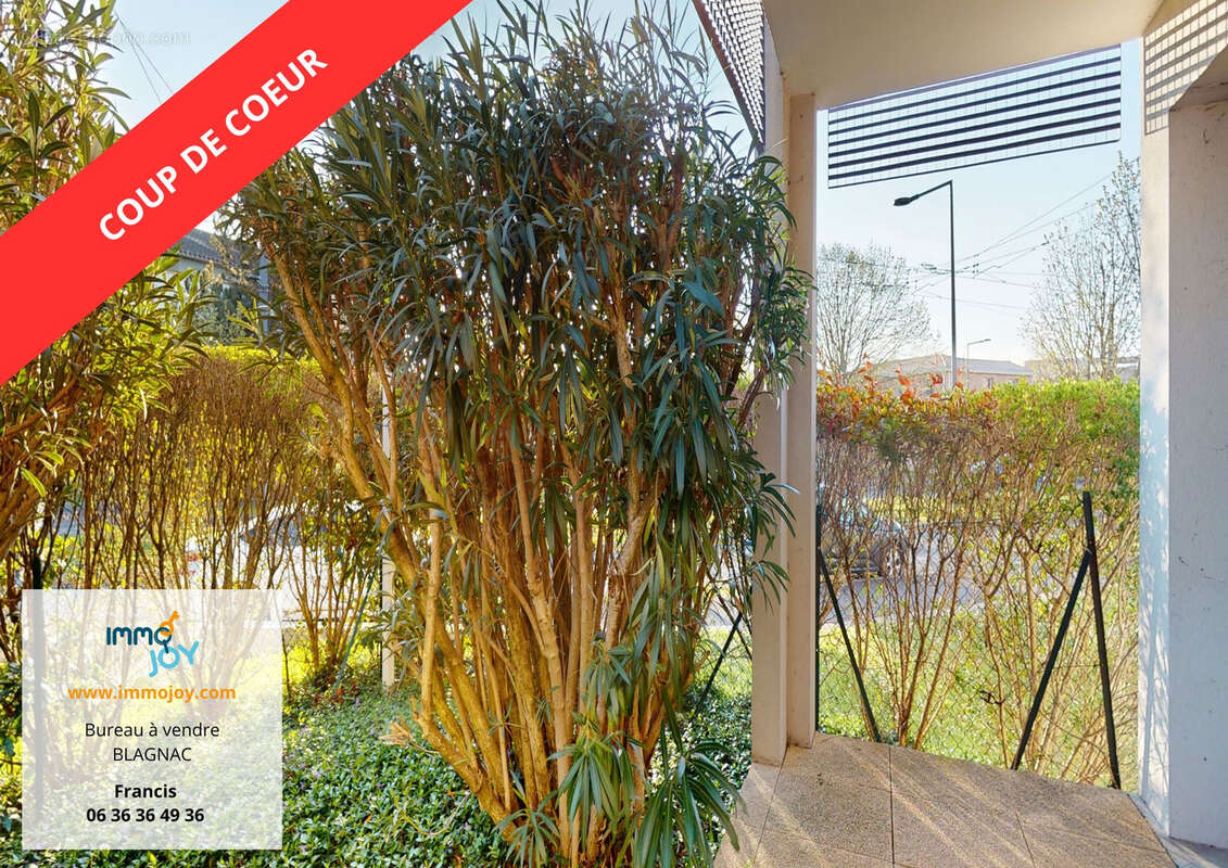 Commerce à BLAGNAC
