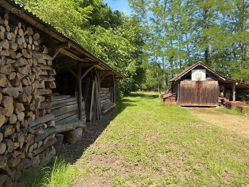 Nogaro(32) 7 km, ANCIENNE METAIRIE GASCONNE 280m2 dont 160m2 habtiables sur 4.5ha, au bout d'un long chemin, CACHEE, SANS VIS A  - photo 7