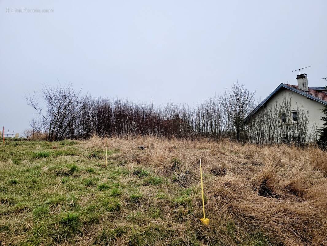 Terrain à MONCEL-SUR-SEILLE