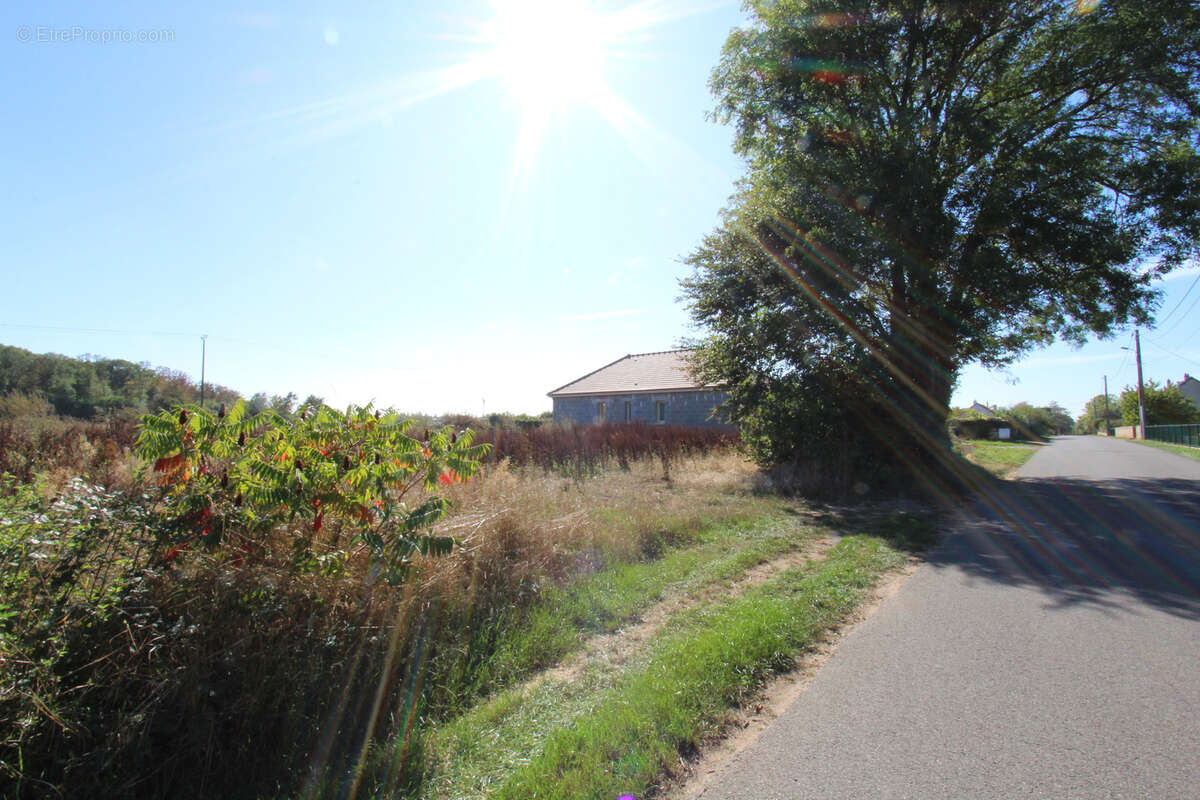 Terrain à LA CHARITE-SUR-LOIRE