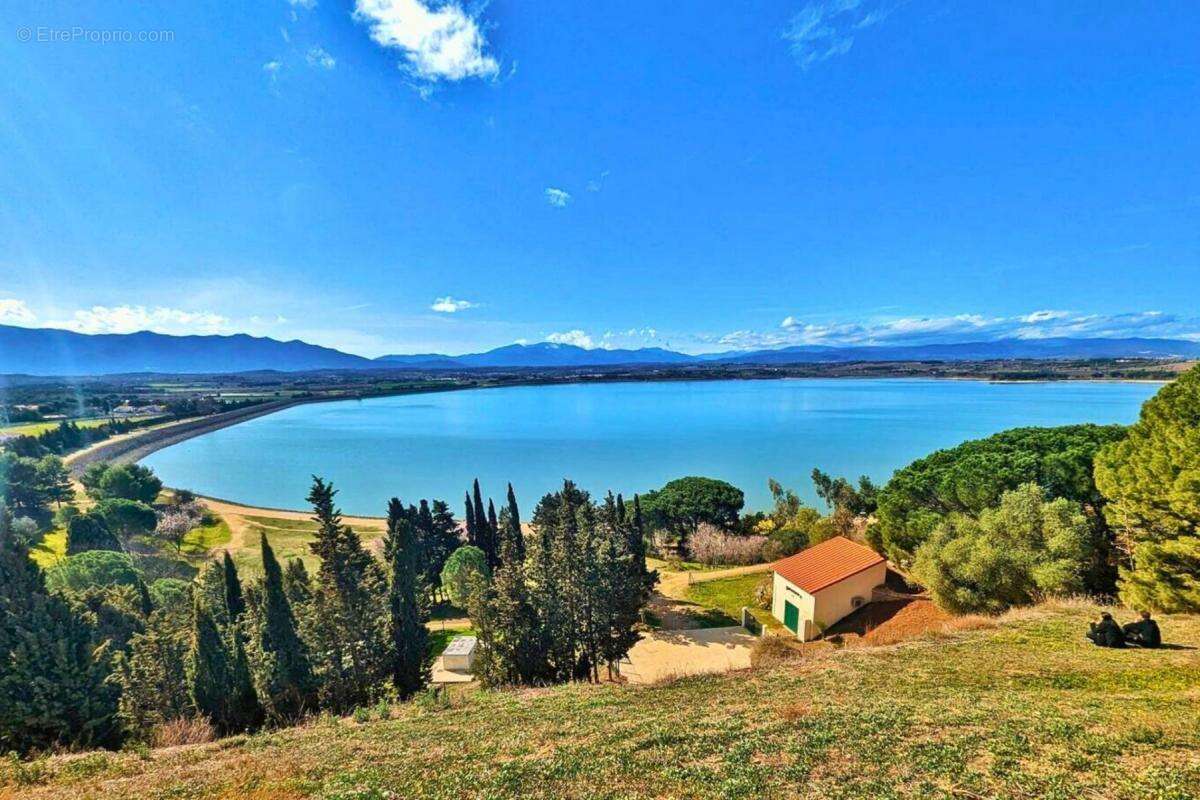 Commerce à VILLENEUVE-DE-LA-RAHO