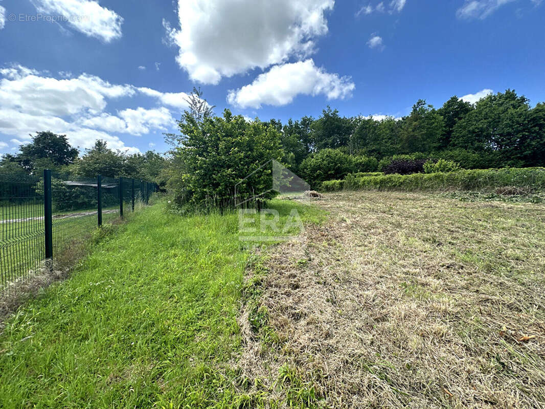 Terrain 1535m² à moret-loing-et-orvanne - photo 4