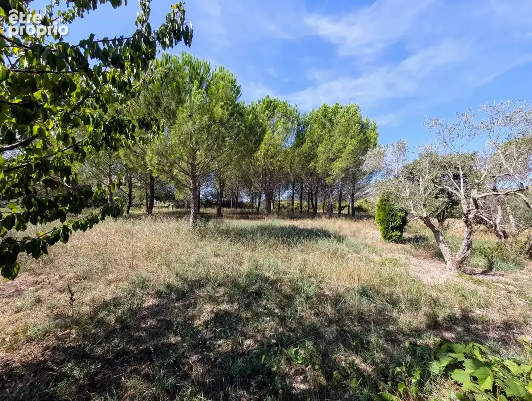A vendre- magniifique proprieté à  st hippolyte du fort - photo 7