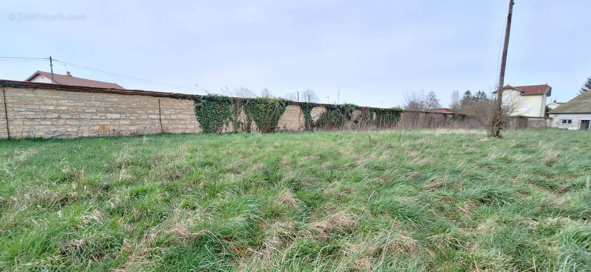 Terrain à BOURG-EN-BRESSE